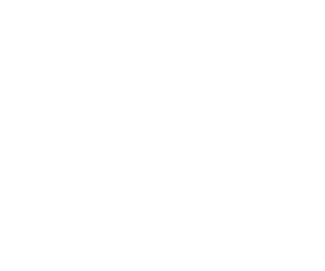 megaphone icon