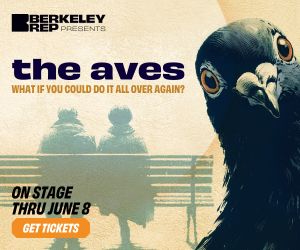Berkeley Rep's the aves