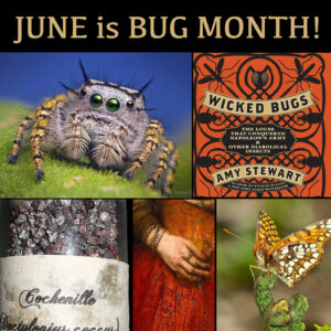 Bug Month - UC Botanical Garden Berkeley