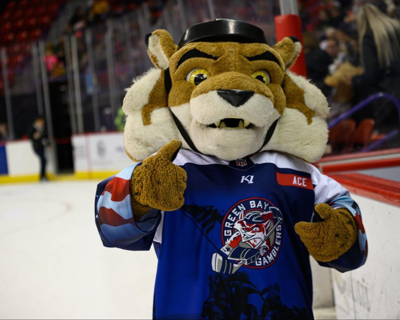 Spectator Sports - pictured is the Green Bay Gamblers Hockey mascot