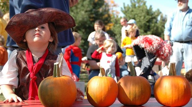 Can't Miss: Greater Green Bay Fall Festivals